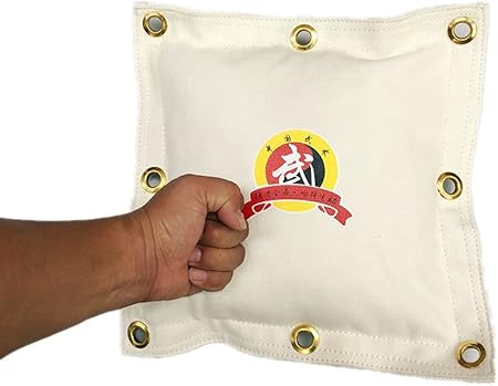 sac de frappe mural wing chun