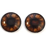 teddy bear glass eyes supplies