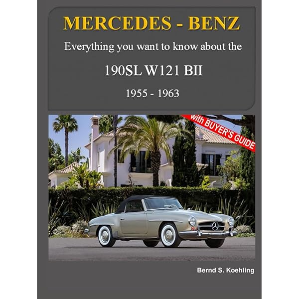 Mercedes-Benz The W100: From the SWB 600 and coach-built models to