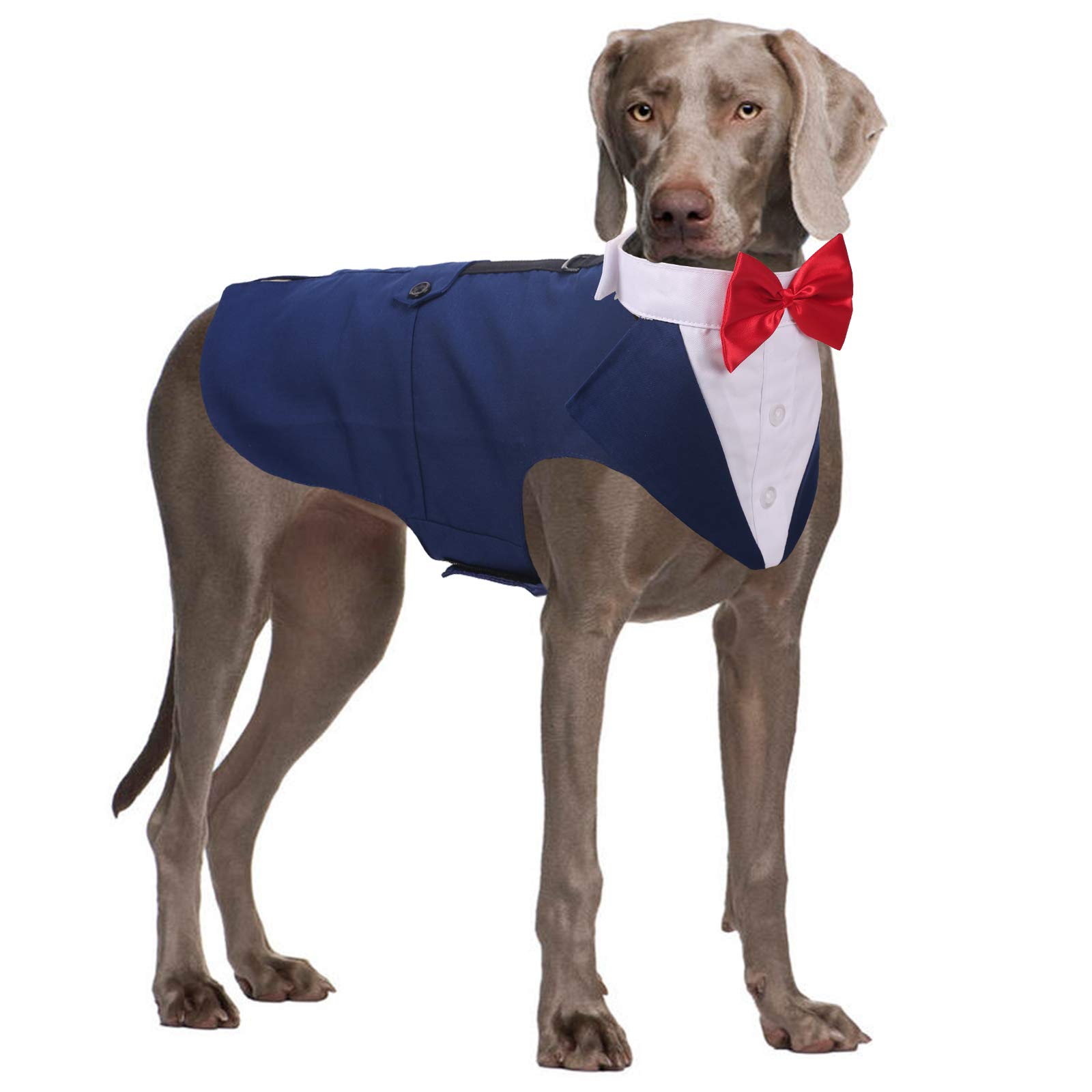 QBLEEV Dog Tuxedo and Bandana Set Formal Wedding Outfit with Bow Tie Blue 2XL — image 1