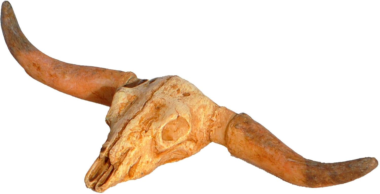 Best desert fairy garden accessories