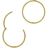 365 Sleepers Titanium Implant Grade Nose Rings 20G 18G 16G 14G 12G 10G 8G 6G Septum Jewelry Hinged Segment Ring Body Piercing Hoop Lip Rings Helix Cartilage Rook Earrings Nickel Free Hypoallergenic