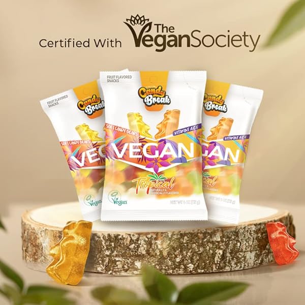 CANDY BREAK VEGAN GUMMIES – EXOTIC TROPICAL FRUITY GUMMY BEARS – GIFT SNACKS FOR ADULTS & KIDS – 4OZ (PACK OF 12)