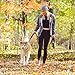 HICOBOS Dog Training Leash 6ft for Large Medium Dogs-2 Padded Traffic Handle Rope- Heavy Duty Shock Absorbing Bungee- Optional Hands Free for Dog Training, Walking, Jogging & Biking (Red)