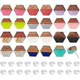 PH PandaHall 12 Colors Wood Resin Stud Earrings 12 Pairs Boho Stud Earrings Hexagon Earring Studs Post Walnut Wood Statement with 316 Stainless Steel Pin for Women Summer Beach Jewelry Gifts
