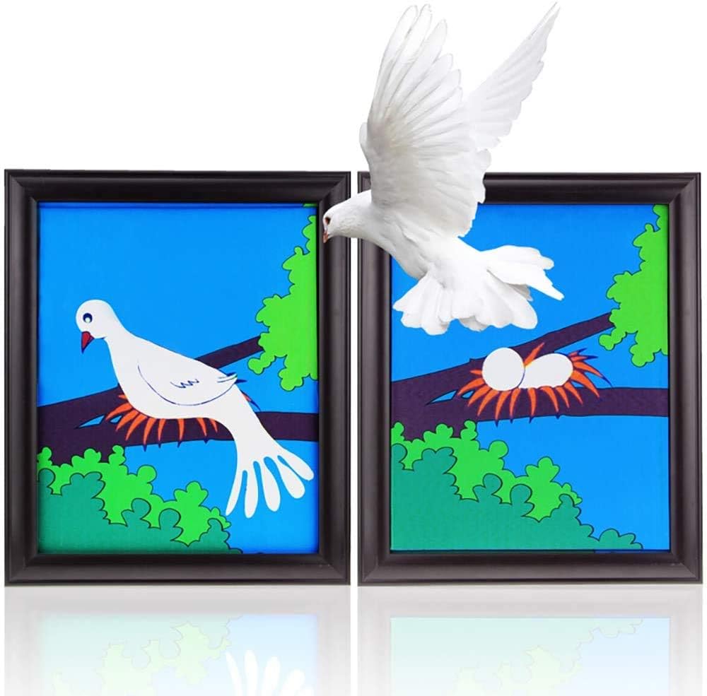 Amazon Com Dove Frame Magic Trick Dove Appearing From Picture Magic Tricks Stage Illusions Accessories Gimmick Prop Comedy Toys Games Amazon Com Dove Frame Magic Trick Dove Appearing From Picture Magic Tricks Stage Illusions Accessories Gimmick Prop Comedy Toys Games