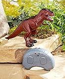 Infrared Walking T-Rex with Sound