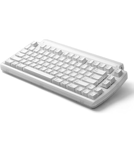 Matias tactile pro メカニカルキーボード US配列 Amazon.com: Matias Tactile Pro Keyboard for Mac : Electronics