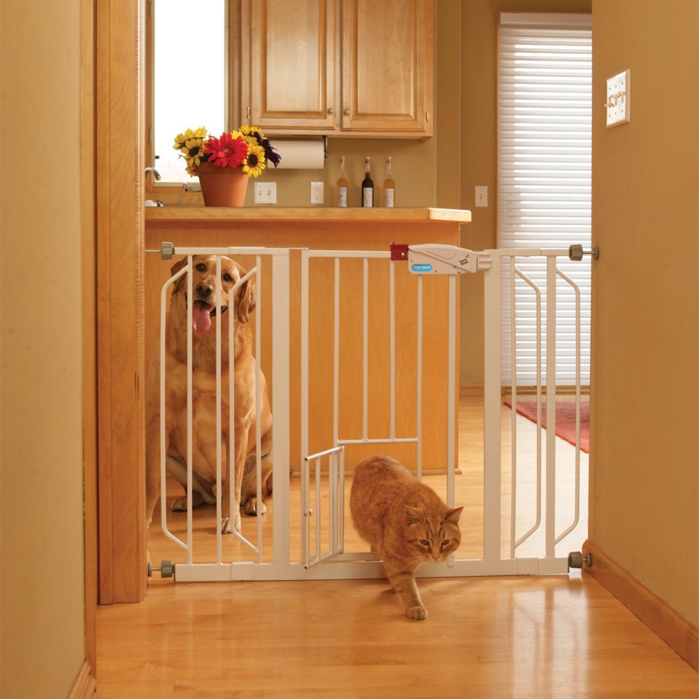 dog block gate