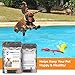 Pawbiotics pet probiotics and enzymes with prebiotics, pumpkin, turmeric, fish oil a natural supplement for dogs and cats (4 ounce)