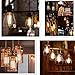 Kiven Vintage Edison Bulb Tungsten Wire - 110 Volts - Dimmable - 230 Lumens -2200K Warm Temperature Antique Light Bulb (60w)