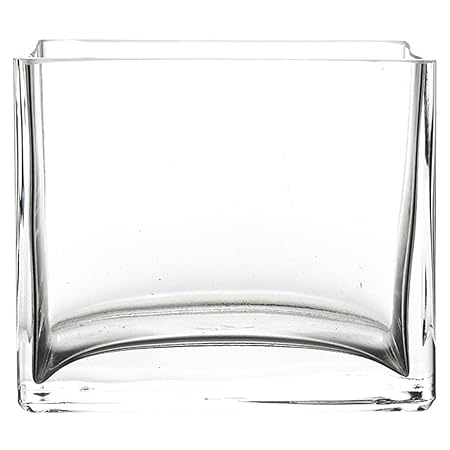 Pasabache Glass Flora Plain Vase, 10x100mm (Clear, 80134)