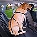 iBuddy Dog Seat Belts for Cars of Small/Medium/Large Dogs,Adjustable Pet Seat Belt for Dog Harness with Dual Safe Bolt Hook and Elastic Durable Nylon Dog Safety Belt for Car