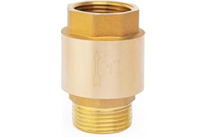 ChillWaves Brass In-Line Spring Check Valve DN25 1" Male x 1" Female Thread, One-Way Non-return Vertical Check Valve，Prevent Water Back-flow(1-PACK)
