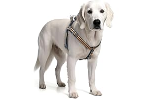 Tiffpaws Stripe Step in Dog Harness for Small Dogs, Freedom Nylon Dog Halter Vests, Lightweight and Escape Proof Puppy Harness, Quick Fits for Small Medium and Large Dogs, Blue M