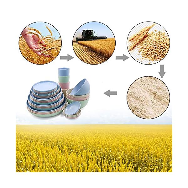 32-Pieces-Wheat-Straw-Dinnerware-Sets-Lightweight-Plates-Bowls-Cups-Dishes-Set-Unbreakable-Tableware-Set-for-Picnic-Party-BBQ-Wedding-Camping-A6 32 Pieces Wheat Straw Dinnerware Sets, Lightweight Plates Bowls Cups Dishes Set, Unbreakable Tableware Set for Picnic Party BBQ Wedding Camping (A6)