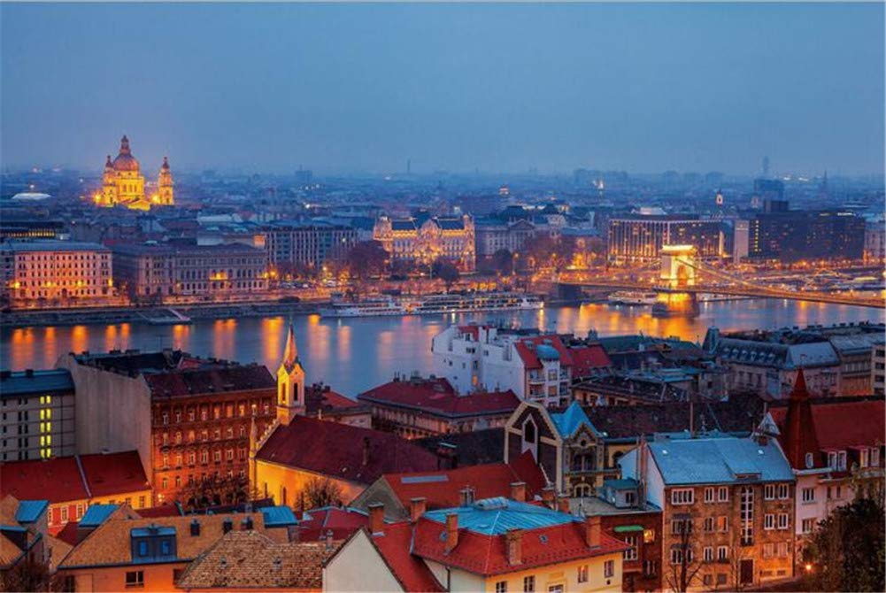SUPERPOWER® 1000 Pieces Wooden European Budapest Night Sky Skyline Lake Buildings Landscape Photograph Adults Exercise Brains Floor Games Jigsaw Puzzles