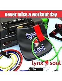 LYNXSOUL Juego de 16 bandas de goma de resistencia profesional premium   Kit completo de ejercicio   Anclaje de puerta, correas de tobillo, asas, tubos y bandas de bucle ideal para entrenamiento y entrenamiento.