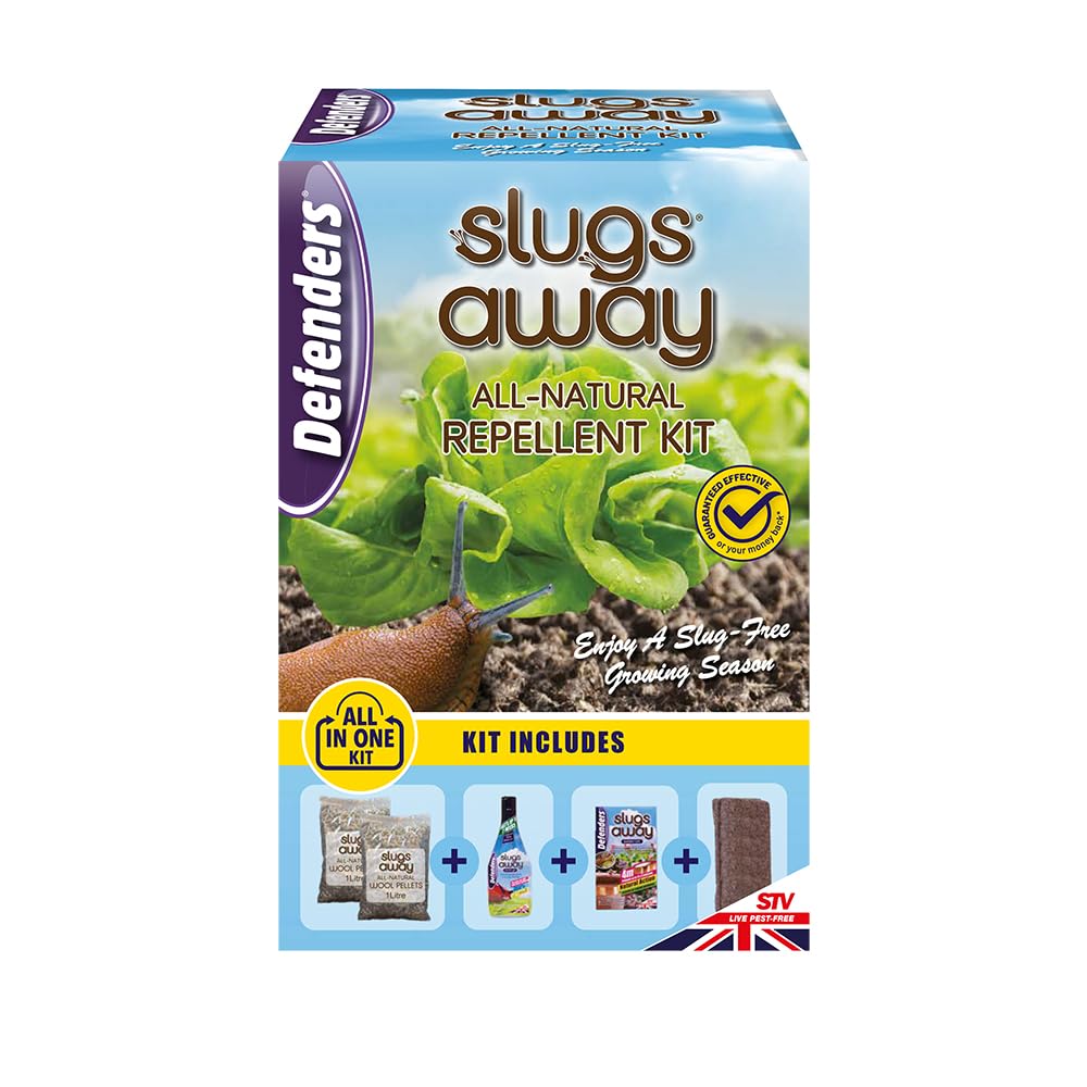 Zero In Woodworm Destroyer – 250ml, Wood Preservative, Ready-to-Use, Kills Woodworm, Longhorn, Furniture Beetles, and Termites, Prevents Reinfestation and Damage to Wooden Furniture and Timber