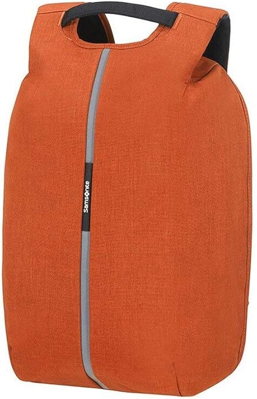 samsonite securipak amazon