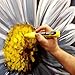 Liquitex Professional Wide Paint Marker, Titanium White
