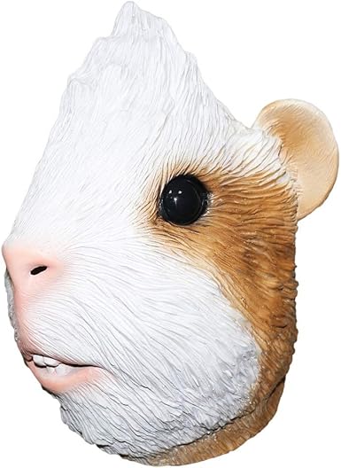 guinea pig outfits amazon