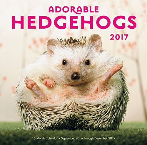 Adorable Hedgehogs Mini 2017: 16-Month Calendar September 2016 through December 2017 Calendar โ Wall Calendar, August 1, 2016