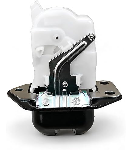 Amazon.com: Rear Tailgate Door Lock Actuator Compatible with