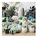 Silicone Succulent Cactus Candles Handmade Molds Fondant Mould Soap Mold for Valentine's day Birthday Party Wedding Spa Home Decoration (#06)