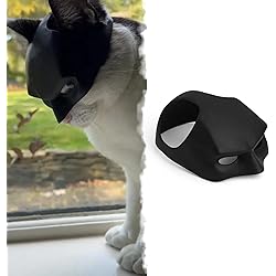 61OUM4pSRnL. AC UL250 SR250,250