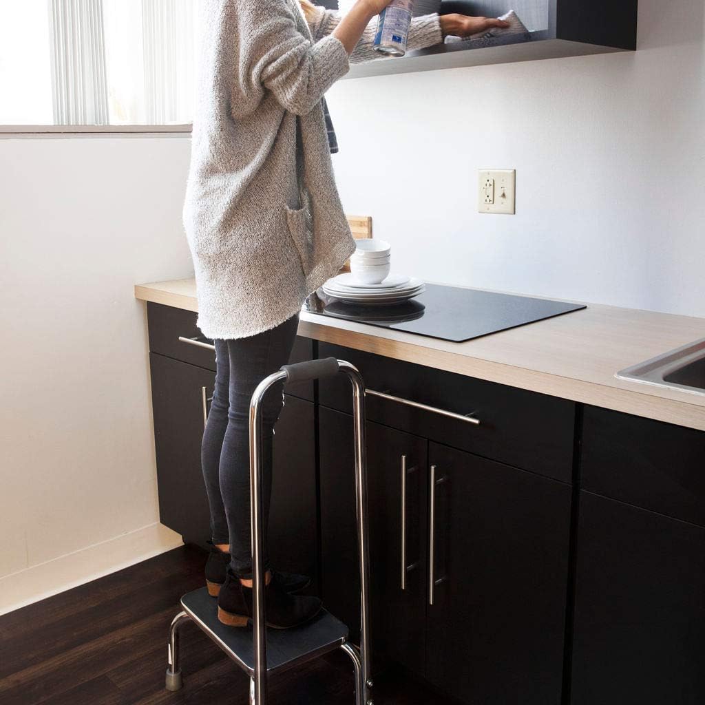 DMI Step Stool with Handle for Adults and Seniors Made of Heavy Duty Metal, Holds up to 300 Pounds with 9.5 Inch Step Up: Health & Personal Care