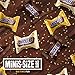 SNICKERS Variety Mix Minis Size Chocolate Candy Bars 8.9-Ounce Bag