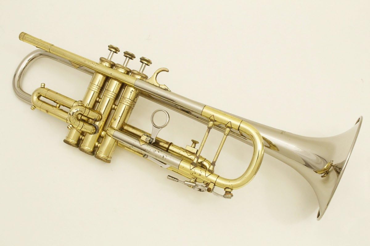 Huttl Silver Colibri 69 Bb Trumpet Amazon.ca Musical Instruments