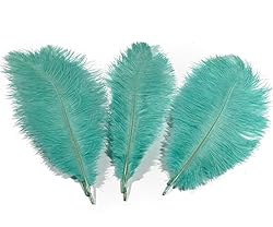 Lampu 10pcs Ostrich Feathers 12-14