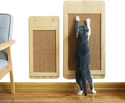 cat climbing furniture