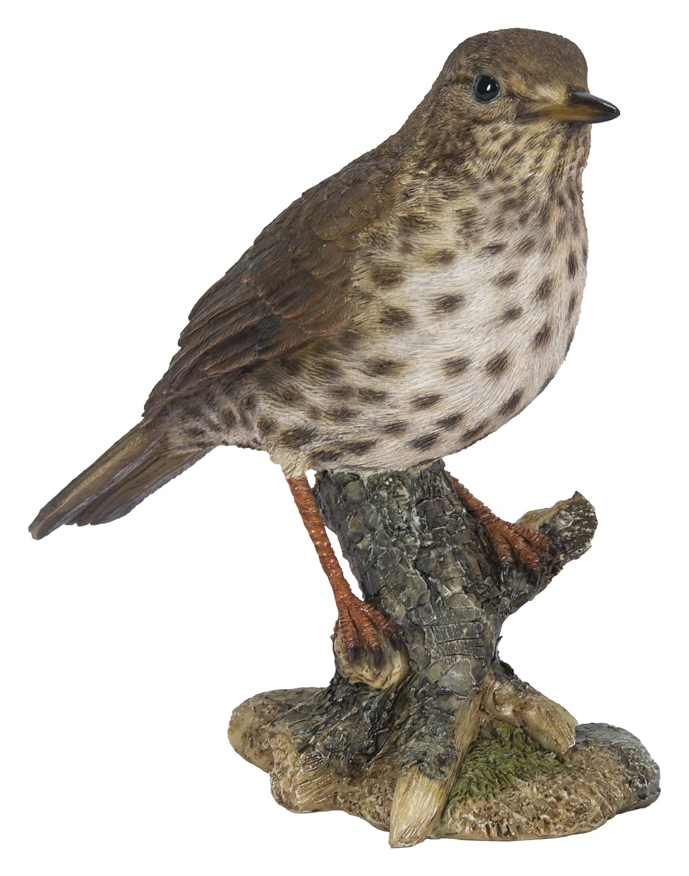 Vivid Arts Garden Birds (Song Thrush)