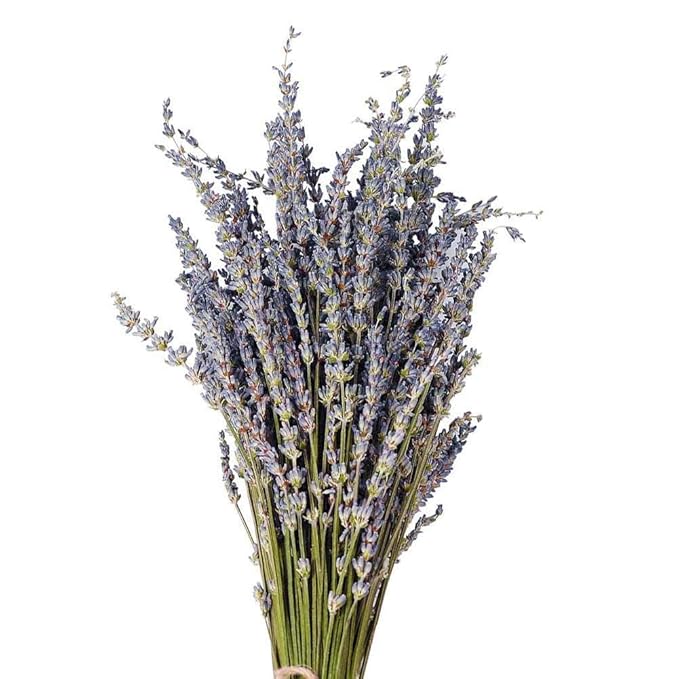 Home Decoration Liebesgeständnis - natürlicher Lavendel Bouquet unsterblich frische getrocknete Blumen DIY Home Office Banket