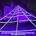 Colonel Pickles Novelties Halloween Decorations - Giant Spider Web – 23 X 18 Feet Mega Size for Scary Yard Decor Or Props