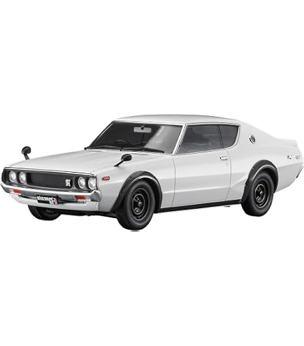 Amazon.com: Hasegawa 20669 1/24 Nissan Skyline 2000GT-R (KPGC110