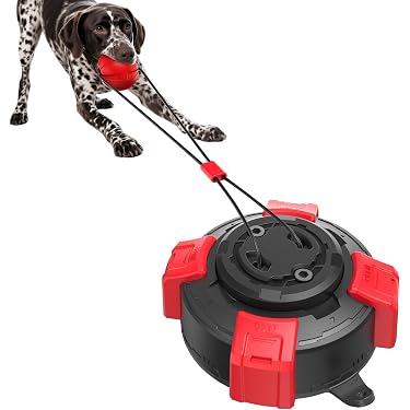 black kong toys for large dogs KONG EXTREME RING XL main image 0