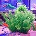 Smarlin Artificial Aquarium Plants, Plastic Fish Tank Plants Decor, 2 Pack, Non-Toxic & Safe for All Fishes (10 inches, Green)thumb 2