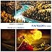 Native 1080p Full HD Projector, WiFi Projector, Bluetooth Projector, FANGOR 6500 Lumens/250 Display/ Contrast 8000: 1 Full HD Theater Projector with Wireless Mirror to iPhone/Ipad/Android Phonesthumb 1