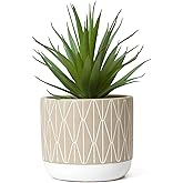 Kurrajong Farmhouse Realistic Faux Succulent in Pot - 8" Fake Plant for Home, Office Desk Decor, or Perfect for Shelf Decor. This Succulent Plant Artificial Will Suit Any Home Decor.