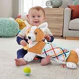 Fisher-Price 3-in-1 Puppy Tummy Time Wedge with Mirror Teether Rattle HJW10 view 2