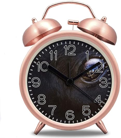 Amazon Co Jp 4 ツインベル付き目覚まし時計 かわいい動物用ダイヤル バックライト 電池式拡声付き目覚まし時計 131 アニマルフェイス パウダー Home Kitchen