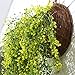 MOTINA Handmade Woven Hanging Basket Natural Wicker Handed Storage Basket for Home Garden Wedding Wall Decorations