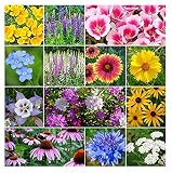 David's Garden Seeds Wildflower Deer Resistant SL7112 (Multi) 500 Non-GMO, Open Pollinated Seeds