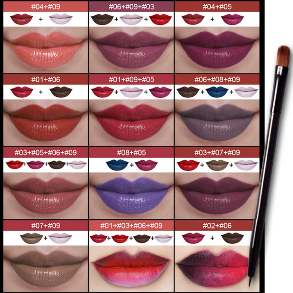Matte Lip Contour Kit - Lipstick Palette Set Includes 9 Lip Colors, Lip Brush, and Makeup Mirror