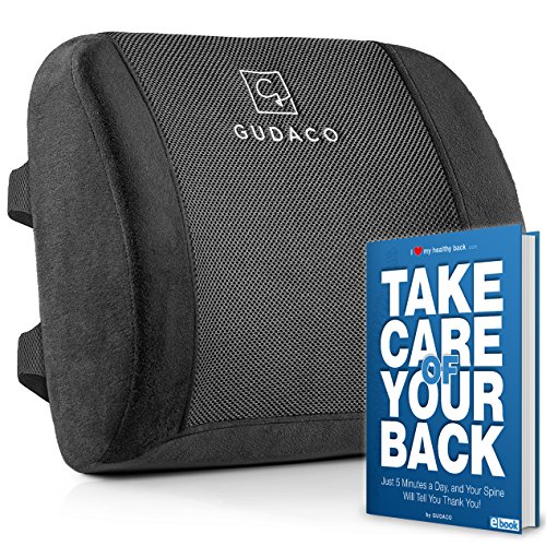 orthopedic pillow for lower back pain