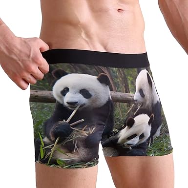 panda boxer briefs